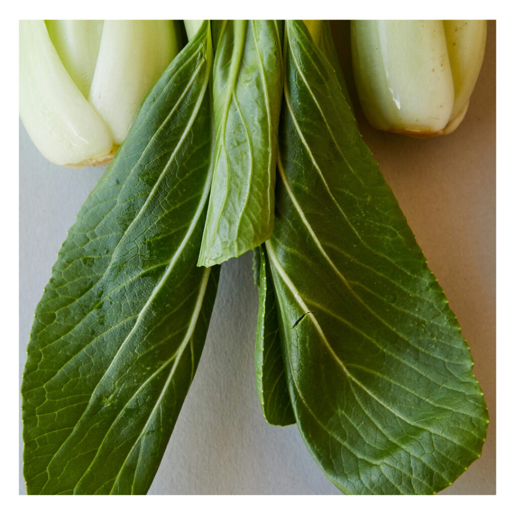 Erfrischende Pak Choi Avocado Suppe